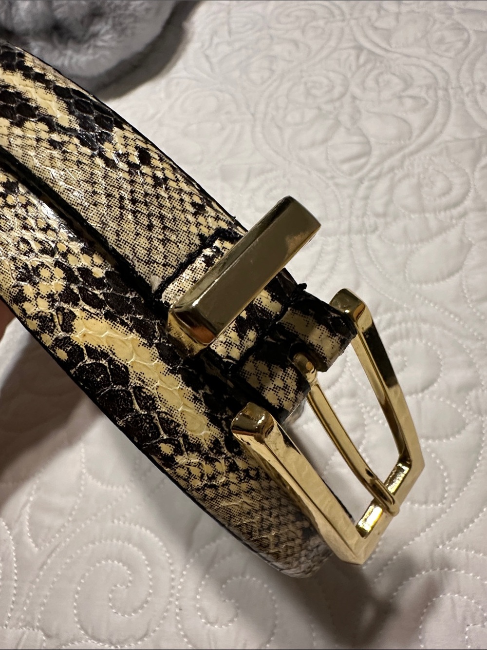 Belts - Picture 8 of 8